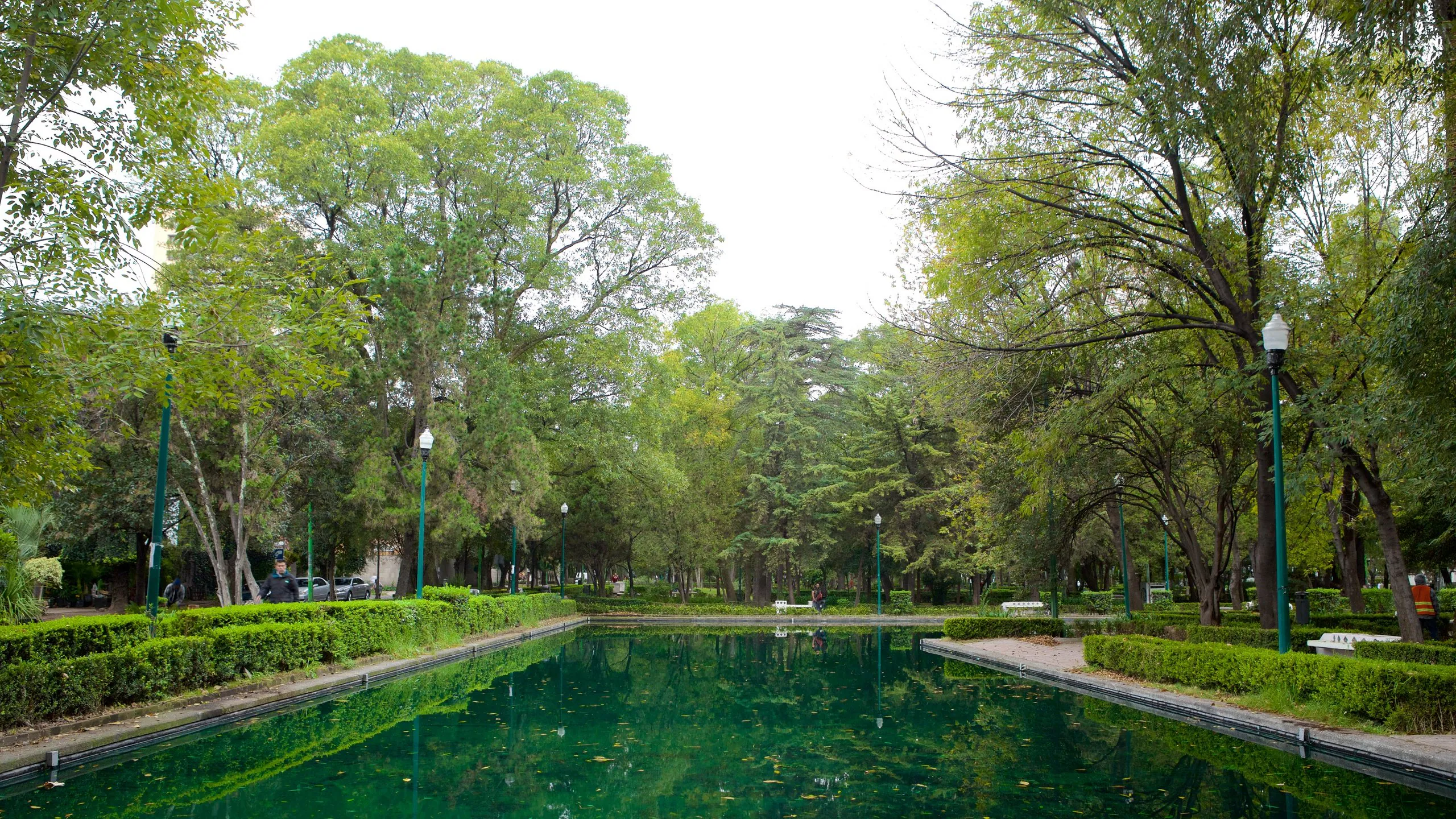 Top Neighborhoods in Mexico City for Short-Term Rentals